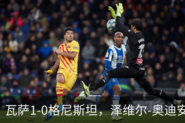 瓦萨1-0格尼斯坦，泽维尔-奥迪安博制胜球