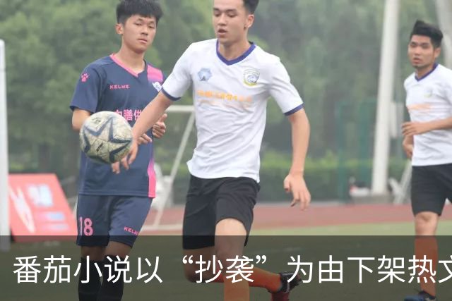番茄小说以“抄袭”为由下架热文被指缺乏实锤，作者申诉遭禁言